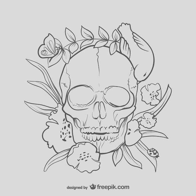 Free Vector floral skull drawing