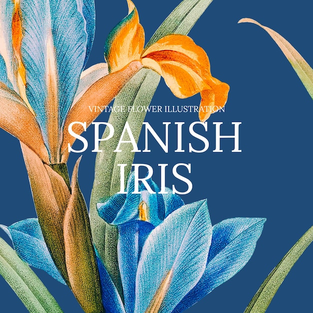 Floral template  with spanish iris background, remixed from public domain artworks