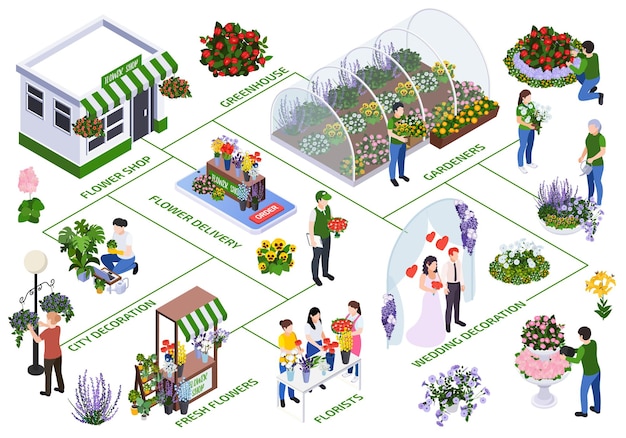 Free Vector florist city event flower decoration isometric flowchart with isolated icons of flower delivery and urban gardening vector illustration