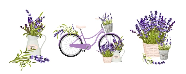 Free Vector floristic compositions with lavender twigs in pots jug and as decor of bicycle realistic vector illustration