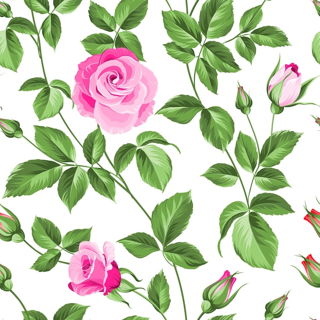 Flower background of red fashion rose for your seamless pattern Vector illustration