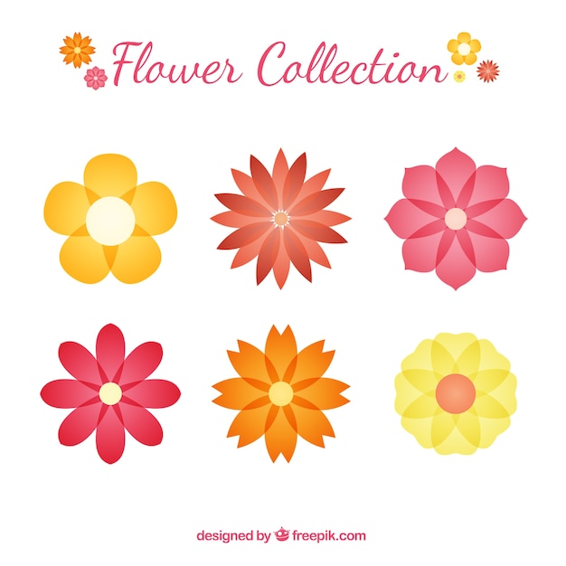 Flower collection with geometric styles