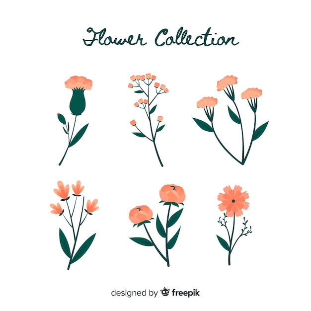 Flower collection