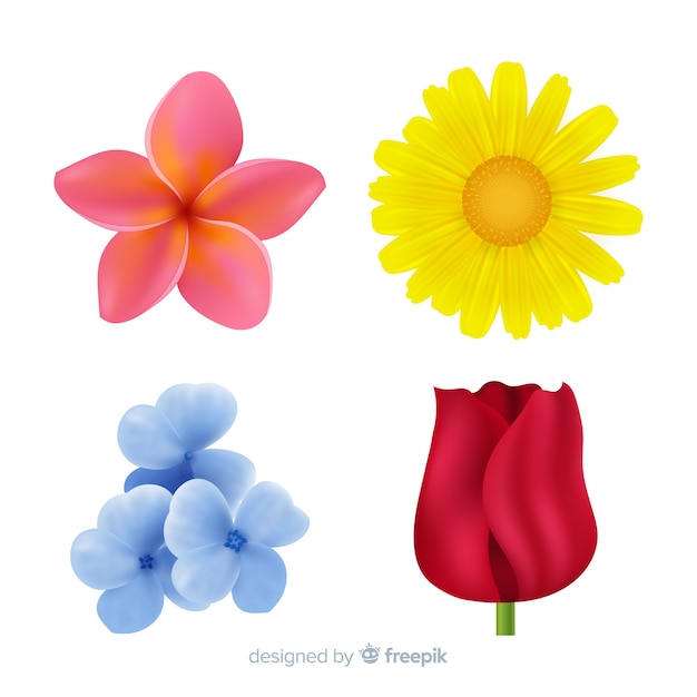 Free Vector flower collection