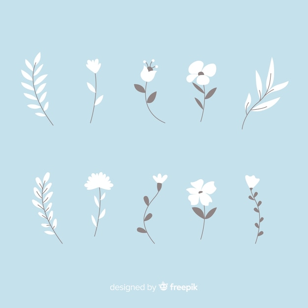 Free Vector flower collection