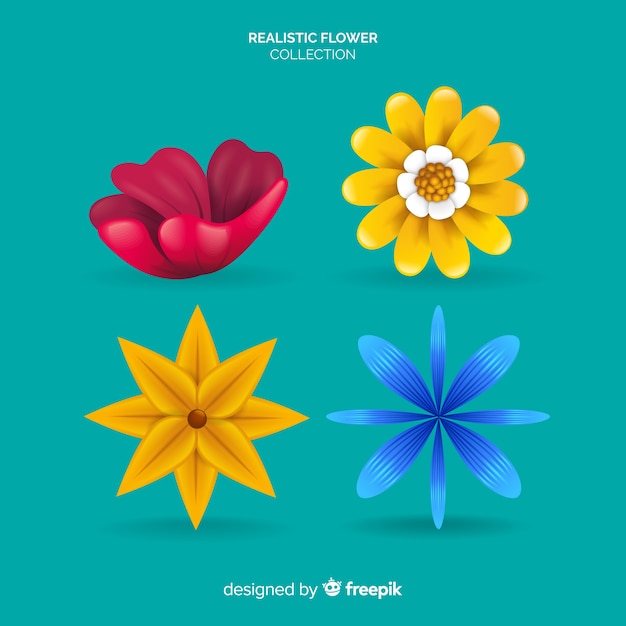 Free Vector flower collection