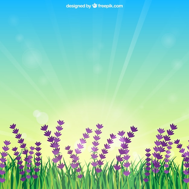 Free Vector flower field with sunrise