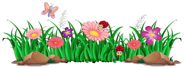 Free Vector flower and grass for decor