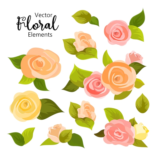 Flower greeting card Background