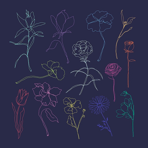 Free Vector flower hand drawn vector set colorful single line art