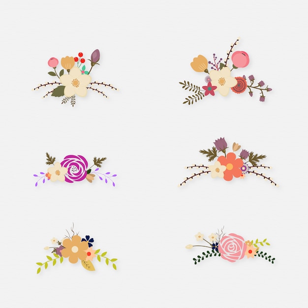 Flower illustrations collection