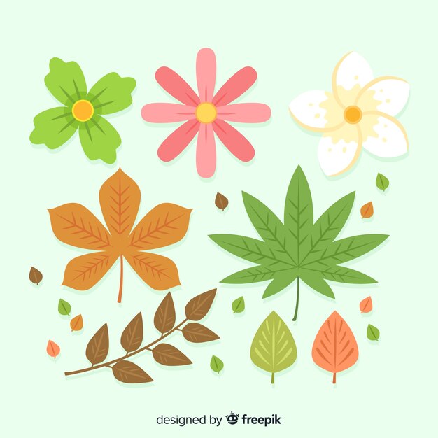 Flower and leaf collection