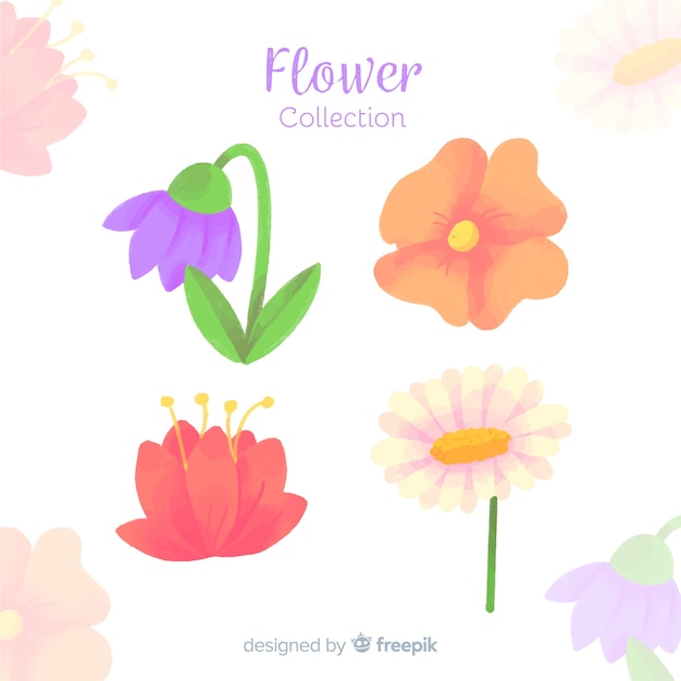 Flower and leaves collection