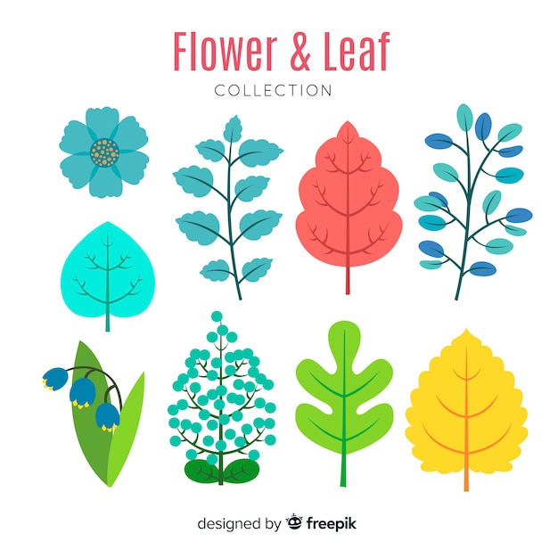 Flower and leaves collection