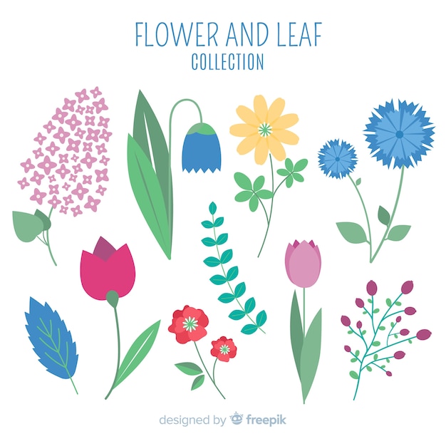 Flower and leaves collection