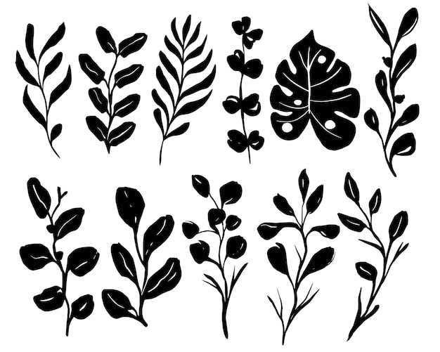 Free Vector flower leaves silhouette black and white