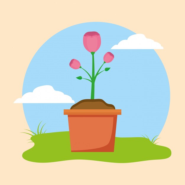 Flower in pot