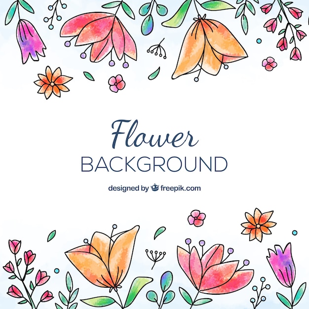 Flowers background with different species