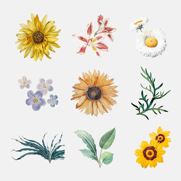 Free vector flowers in bloom