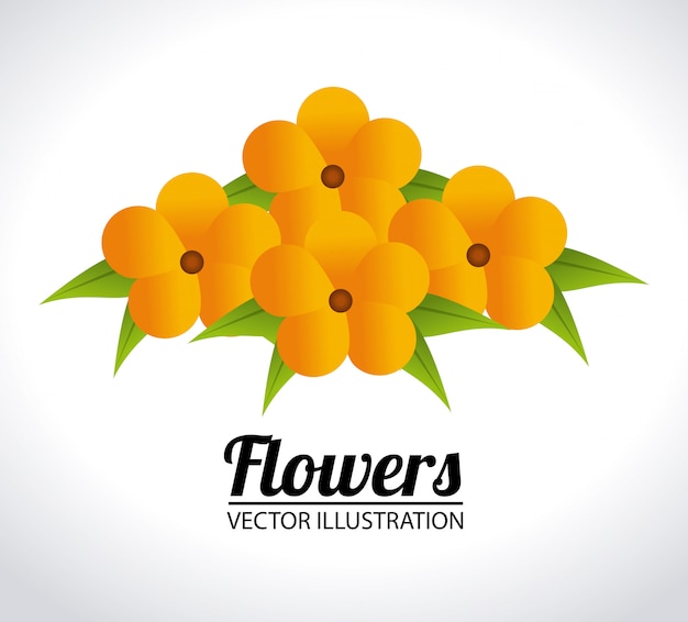 Free Vector flowers design illustration