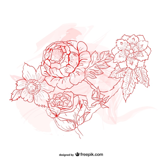 Free Vector flowers drawing