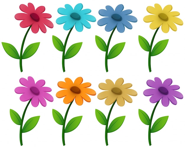 Free Vector flowers in eight different colors