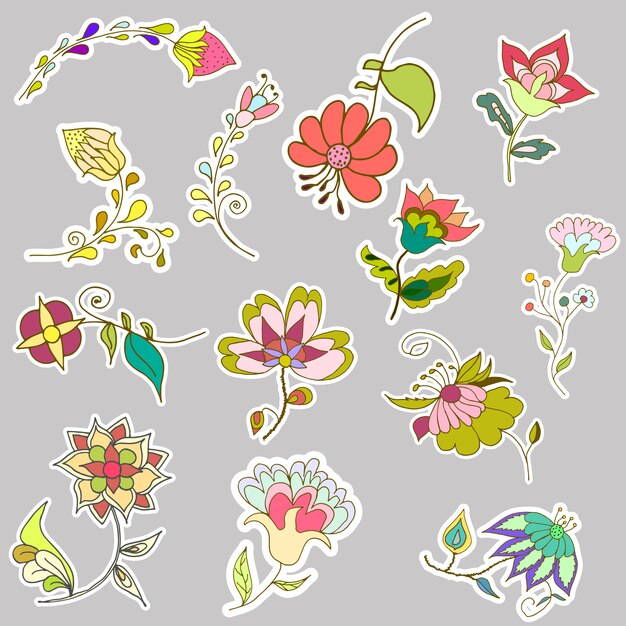 Flowers illustration collection