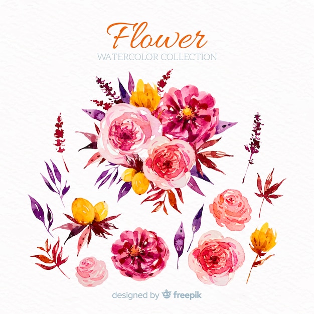 Free Vector flowers and leaves collectio