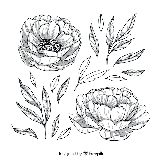 Free Vector flowers and leaves hand drawn style