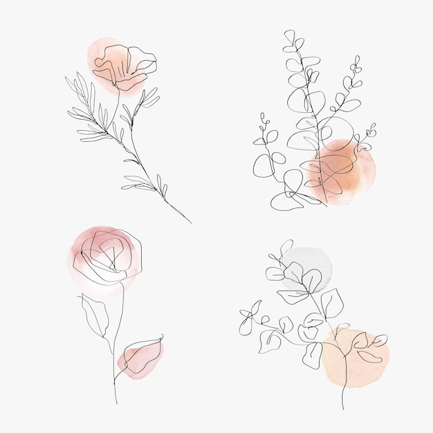 Free vector flowers line art vector botanical watercolor minimal illustration set