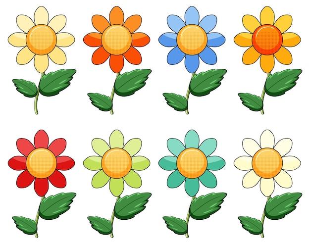 Flowers with different colors