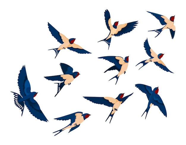 Free Vector flying bird various view collection set. flock of swallows isolated on white background. cartoon illustration