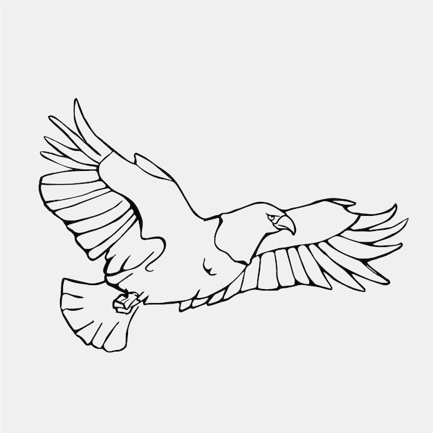 Free Vector flying eagle illustration