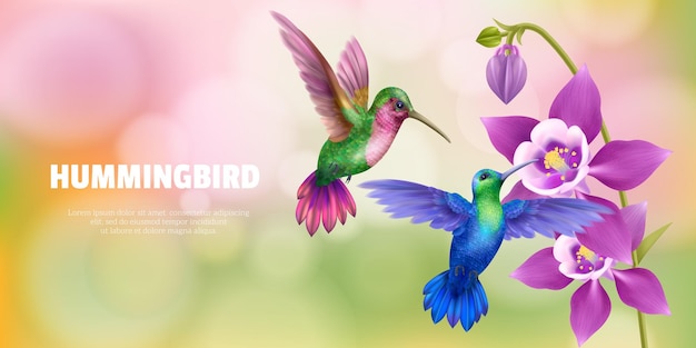 Free Vector flying hummingbird realistic background with tropical fauna and fauna symbols vector illustration