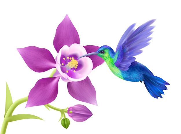 Free vector flying hummingbird realistic concept with beautiful flower vector illustration