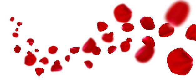 Free Vector flying realistic vector red rose petals