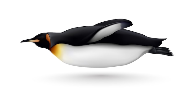 Free Vector flying or swimming beautiful king penguin closeup side view realistic isolated image against white