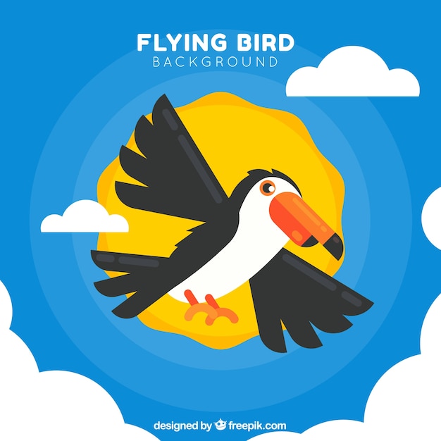 Free Vector flying toucan background