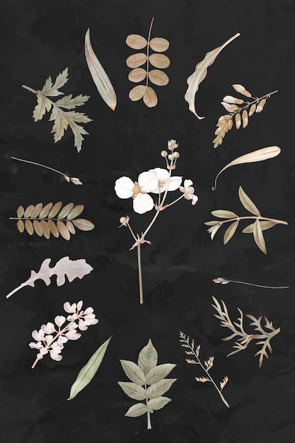 Free Vector foliage design elements vector set