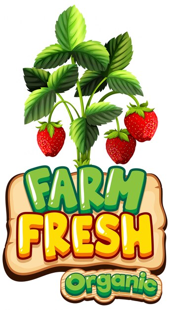 Font design for word fresh farm with red strawberries