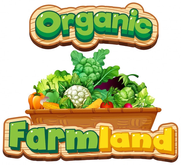 Font design for word organic with many vegetables in basket