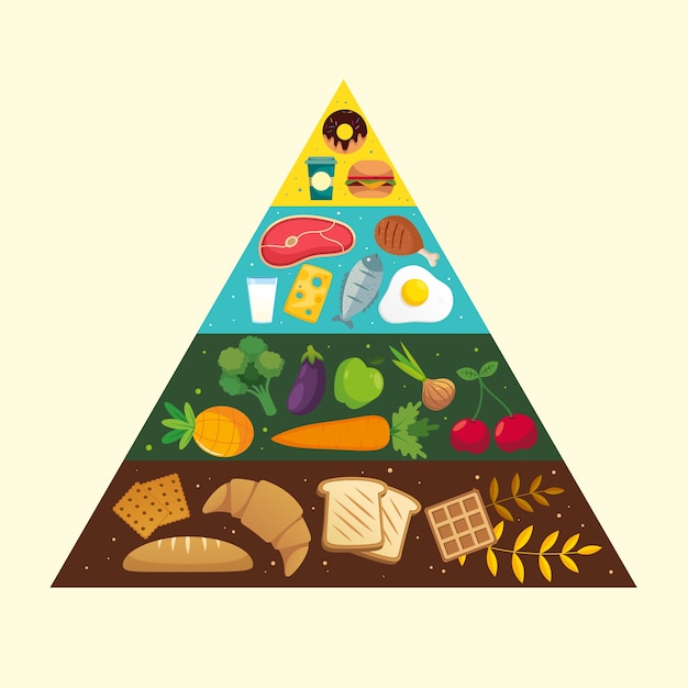 Food pyramid concept