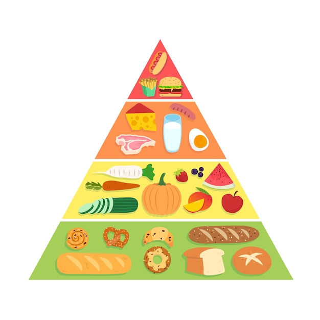 Food pyramid nutrition