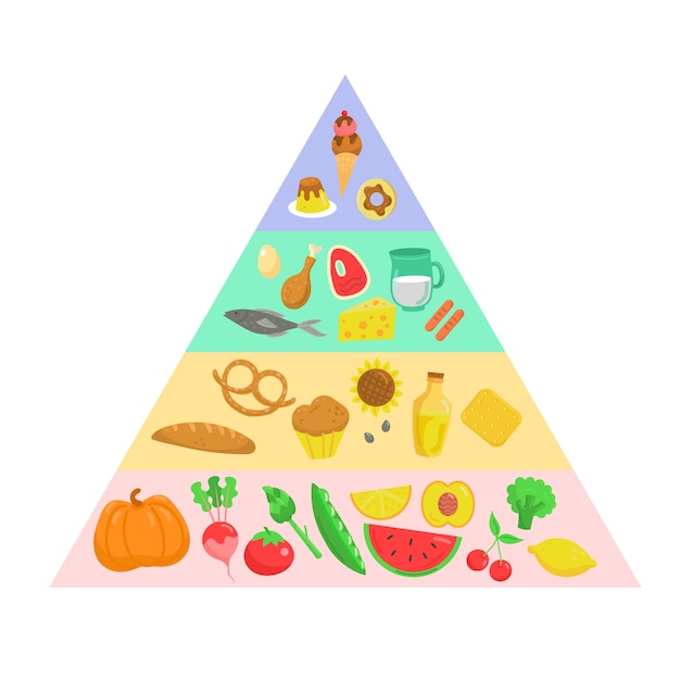 Food pyramid nutrition