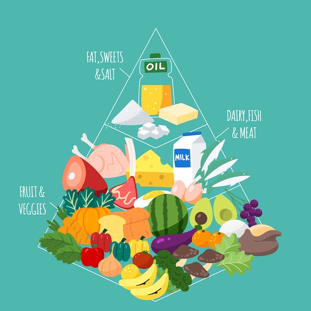 Free Vector food pyramid nutrition