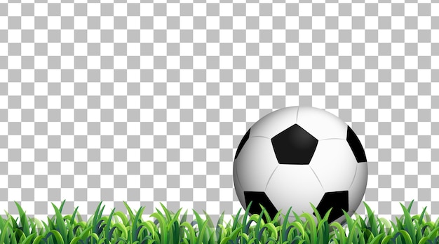 Free Vector football on the grass field on transparent background