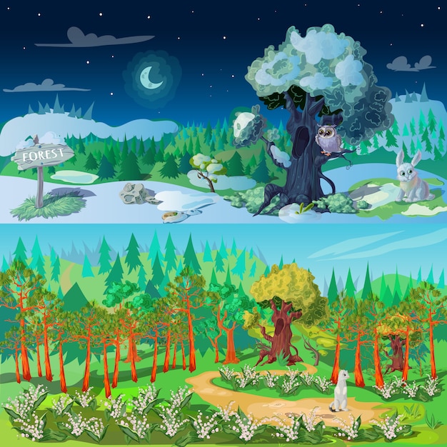 Forest Elements illustration Set