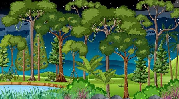 Free Vector forest landscape scene at night with many different trees