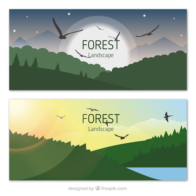 Forest landscape with eagles banners