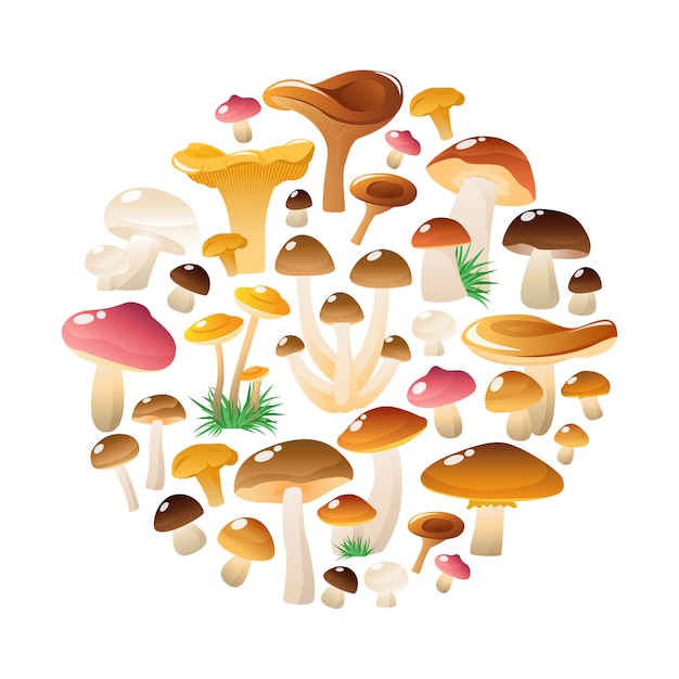 Free Vector forest mushrooms round composition